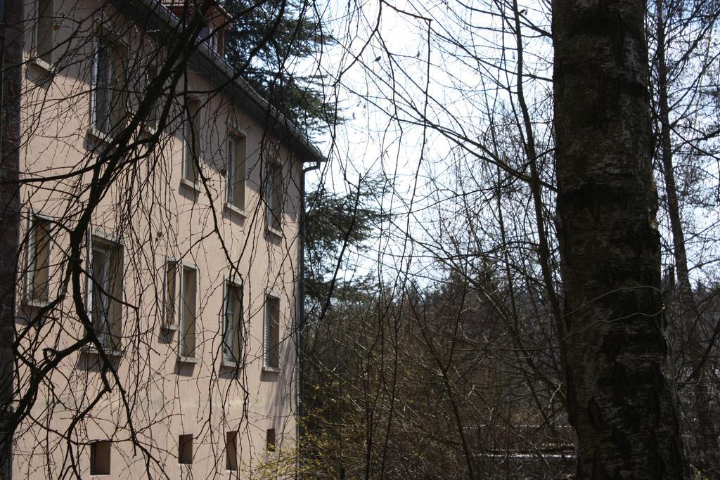 Gite Du Moulin Uhrwiller Exterior foto
